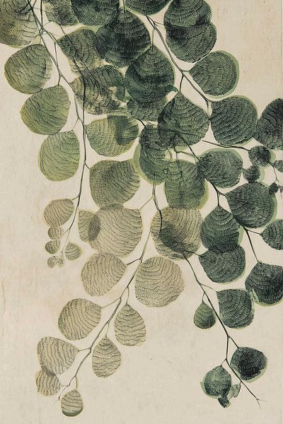 Fougères en chuchotement par Thea