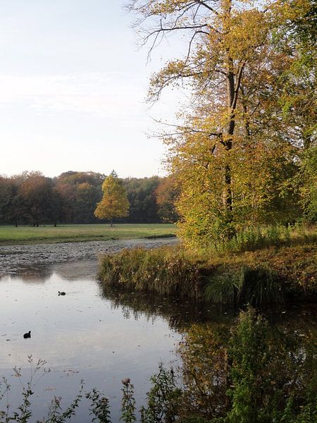 Herfstgoud von Lotte Veldt