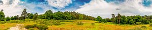 Panorama einer Landschaft mit wilden Wiesen und Wäldern von Günter Albers