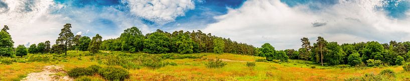 Panorama van een landschap met wilde weiden en bossen van Günter Albers