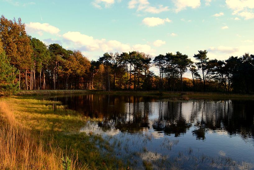 Herfst landschap by Anouk Hemmink