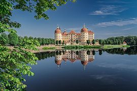 Kasteel Moritzburg