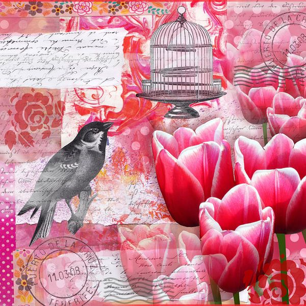 Der kluge Vogel verlässt den Käfig by christine b-b müller