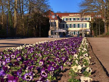Le printemps à Gelsenkirchen