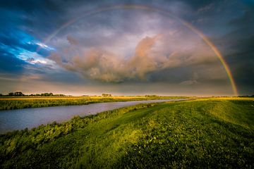 Blick auf einen Regenbogen von Roodehaan aus von Ronnie Schuringa