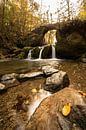 Stromend water van Gregory & Jacobine van den Top Nature Photography thumbnail