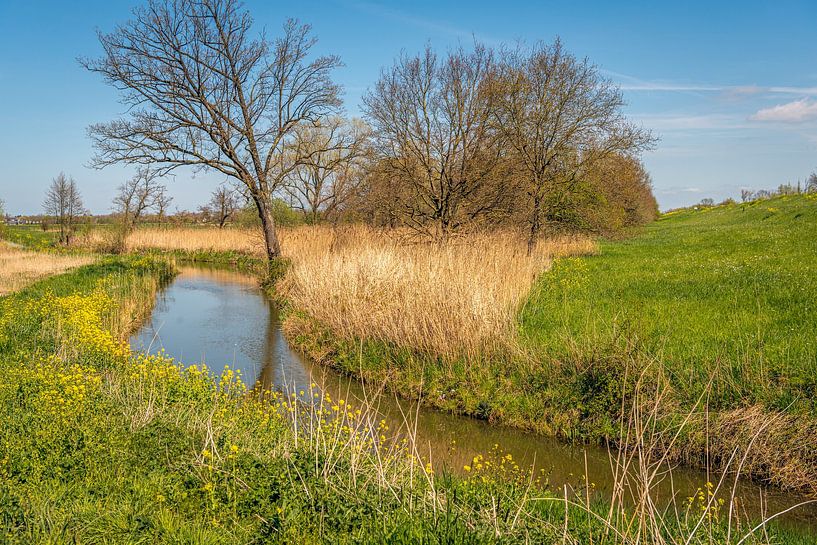 Bunte niederländische Polderlandschaft im Frühling von Ruud Morijn