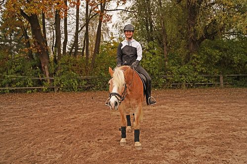 Training met de lichtbruine Haflinger met beige manen