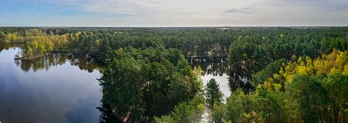 Panorama over de Lommelse Sahara vanaf De Reus van Kristof Leffelaer