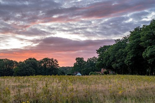 Planken Wambuis part 11