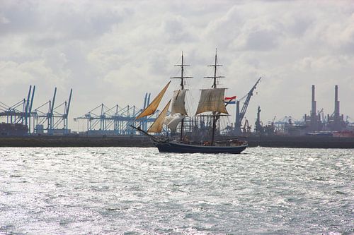 Classic Sailing Ship by Wilma Overwijn