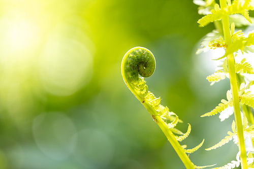 Le printemps bat son plein