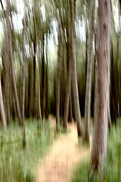 Tree Inspiration by Dick Mostaard