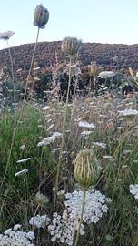 Ontwaken von Ria De Jonge