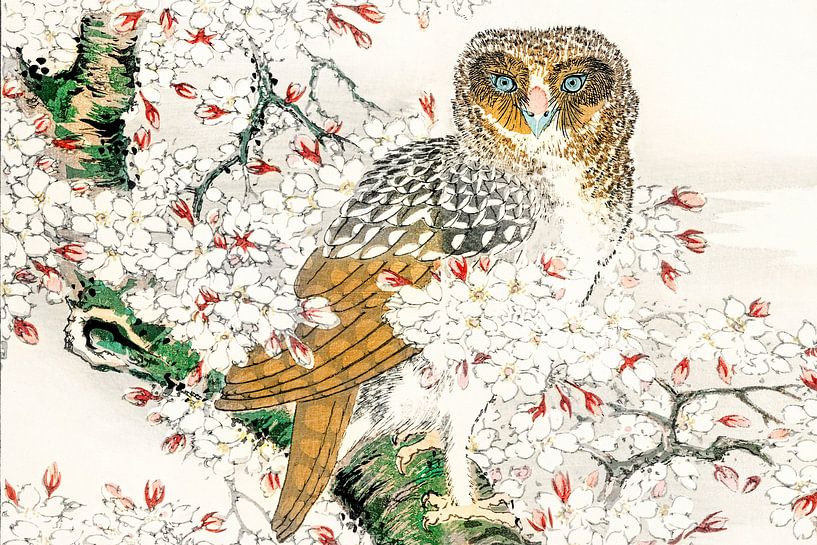Japanese owl by Mad Dog Art