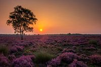 A new day....