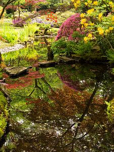 japanse tuin V