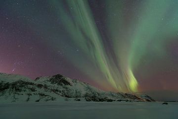 Northern Lights, Aurora Borealis over the Lofoten Islands in Norway