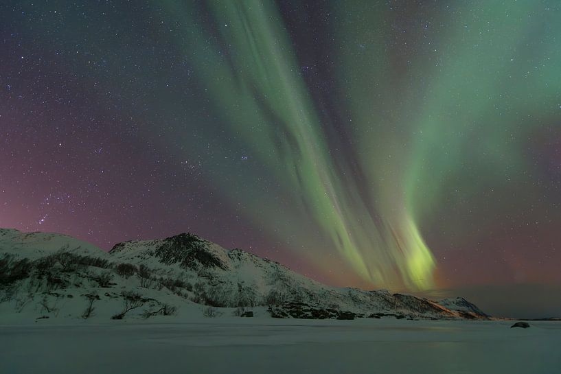 Noorderlicht, Aurora Borealis boven de Lofoten-eilanden in Noorwegen van Sjoerd van der Wal Fotografie
