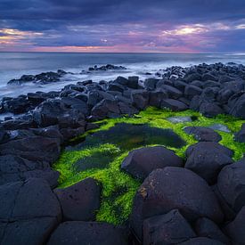 The green pool by Steven Driesen