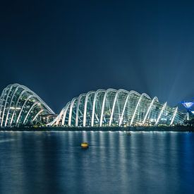 Gardens by the Bay, Singapore sur Lorenzo Nijholt