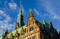 Stadhuis van Hamburg gevel en dak van Dieter Walther thumbnail