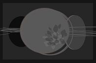 Round shapes in shades of grey with leaves by Anneke Hooijer thumbnail