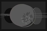 Round shapes in shades of grey with leaves
