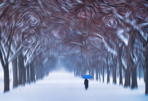 Van Gogh’s Winter: A Walk in Blue