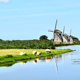 De molendriegang bij Leidschendam van Jan Radstake