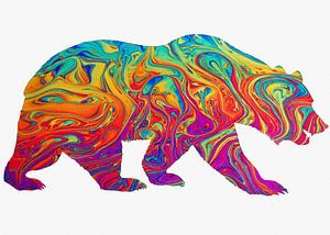 Bears