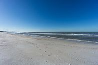 USA, Florida, Early morning at endless barefoot beach with some tracks in the sand by adventure-photos thumbnail