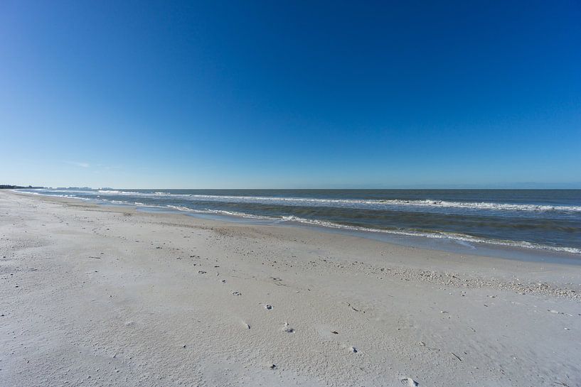USA, Florida, Early morning at endless barefoot beach with some tracks in the sand by adventure-photos