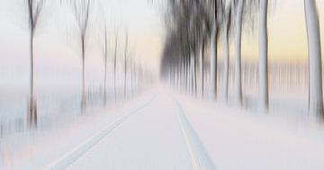 sporen in de sneeuw van Hilda van der Lee