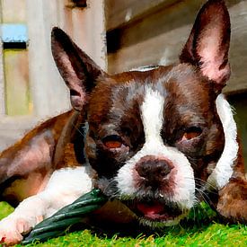 Boston Terrier Water Pixel Art - Modern Dog Portrait by Dlanor