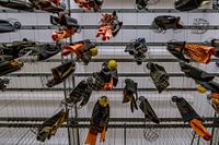 Umkleideraum mit hängenden Korbsystemen für Bergleute