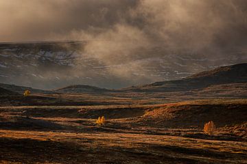 Evening string light at night in Norway by Andy Luberti