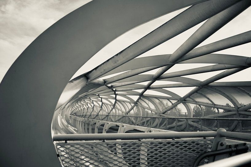 Bridge by Alma de Geus