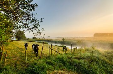 Lakenvelders langs de Oude-Rijn bij zonsopkomst van LiemersLandschap