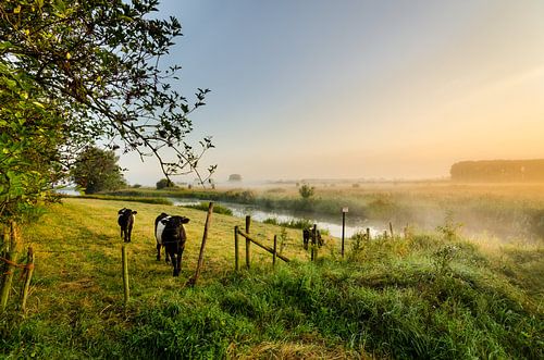 Lakenvelders langs de Oude-Rijn bij zonsopkomst
