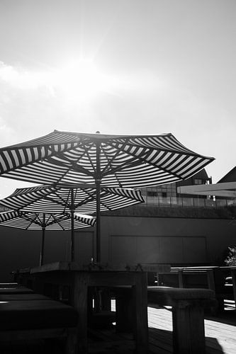 Bloemendaal aan zee parasols