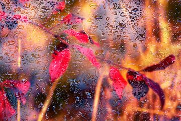 Concept nature : Autumn rain van Michael Nägele