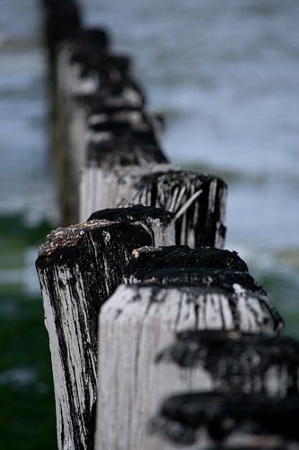 Breakwaters in the sea