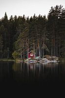 Maison scandinave dans les bois au bord de l'eau