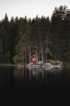 Scandinavish huis in de bossen aan het water van Prints by Abigail Van Kooten