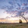 Sunrise on the Ballooning Field, Drenthe. by Ton Drijfhamer