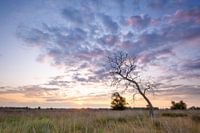 Sunrise on the Ballooning Field, Drenthe.