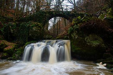 Mullerthal in de winter van Samantha Rorijs