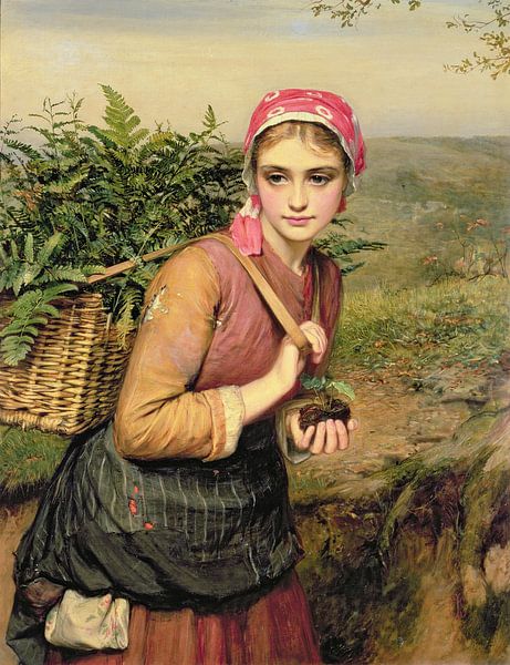 Charles Sillem Lidderdale,The fern collector by finemasterpiece