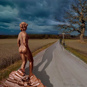 Chocolat lady van Barbara van Druten